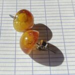 Image du produit précédent